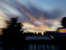 Photo Input: ICM; Daniel Fuchs